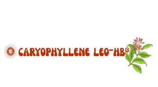 Caryophyllene LEO-HB®
