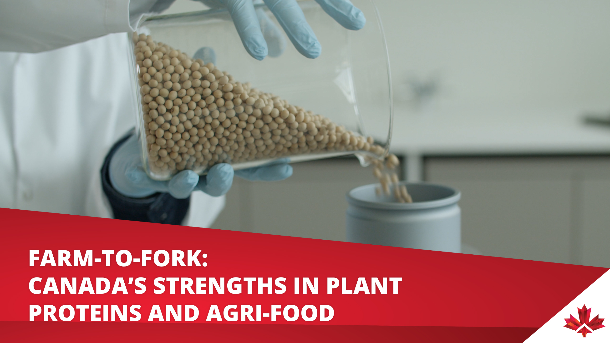 Farm-to-fork: Canada’s Strengths in Plant Proteins and Agri-Food