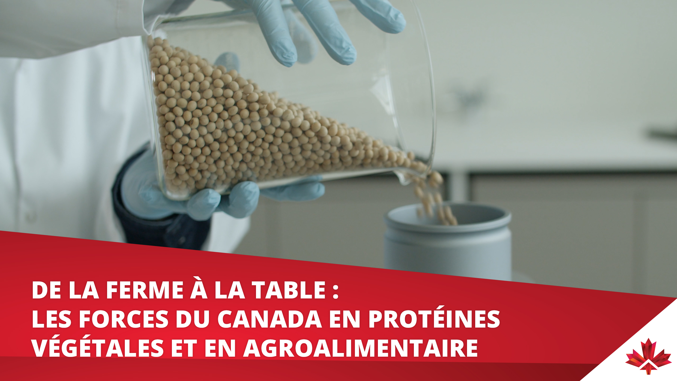 De la ferme à la table : Les forces du Canada en protéines végétales et en agroalimentaire