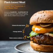 Unleash New Possibilities in  Plant-Based Meat with PALMESTER | PLANTERA MCT Oil