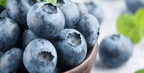 Symrise announces range of natural blueberry ingredients for food, beverage, and consumer health applications