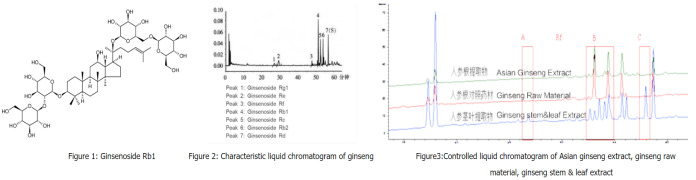 Chinese King of Herbs - Ginseng