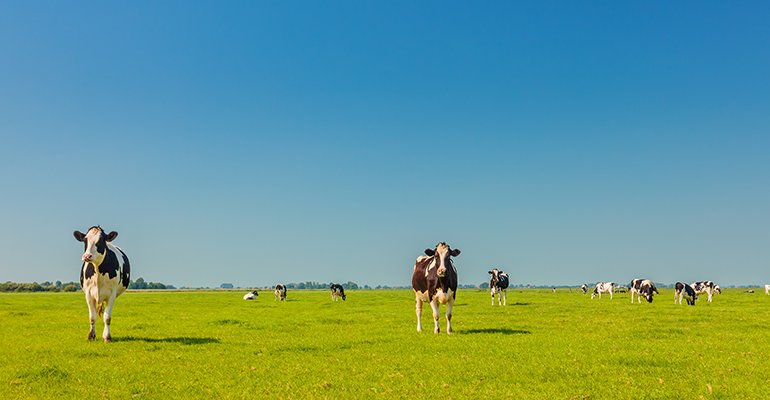 How will Denmark’s 2030 carbon tax impact farming?