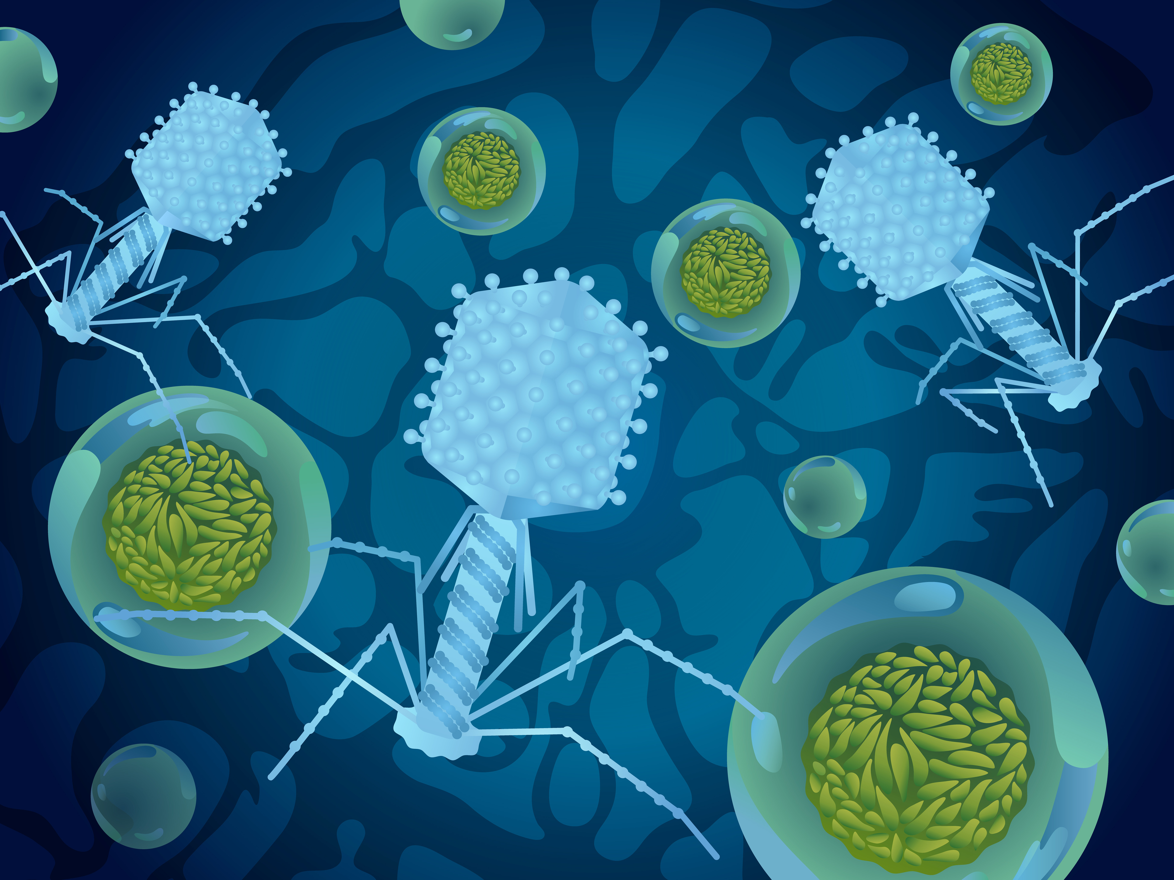 Slash DNA and Boost your Bacteriophage Production with NuCLEANase