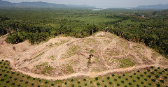 European Commission proposes one-year delay to EUDR deforestation regulation