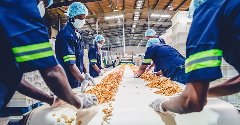 Africa balances policy needs with food processing growth