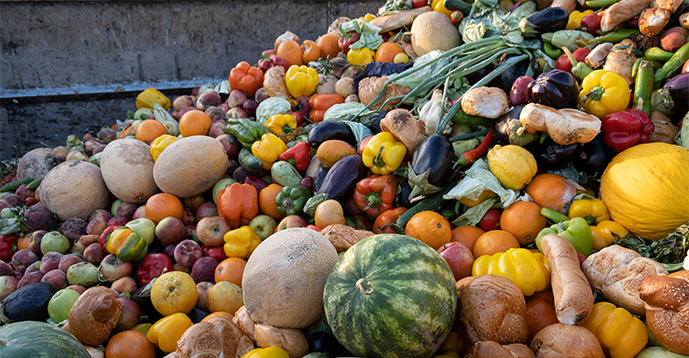 Nordic countries need tougher food waste reporting, new research finds