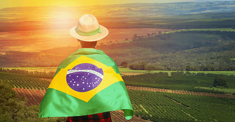 Brazil looks to expand agricultural export opportunities