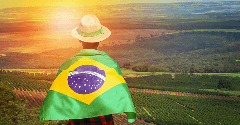 Brazil looks to expand agricultural export opportunities