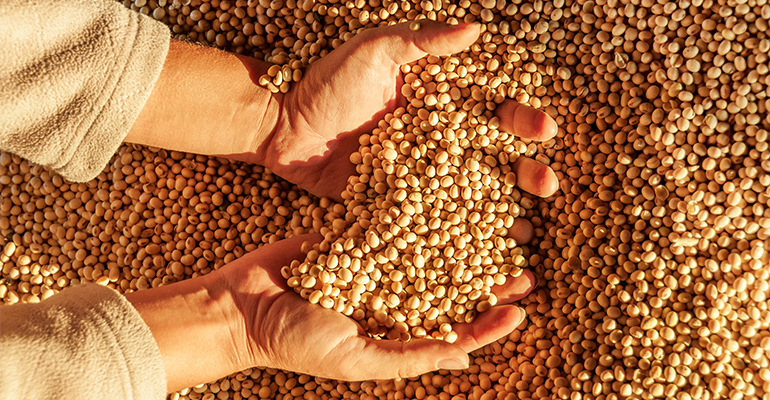 How US soy exports shape Southeast Asian food