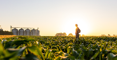 US wins GMO corn trade dispute with Mexico