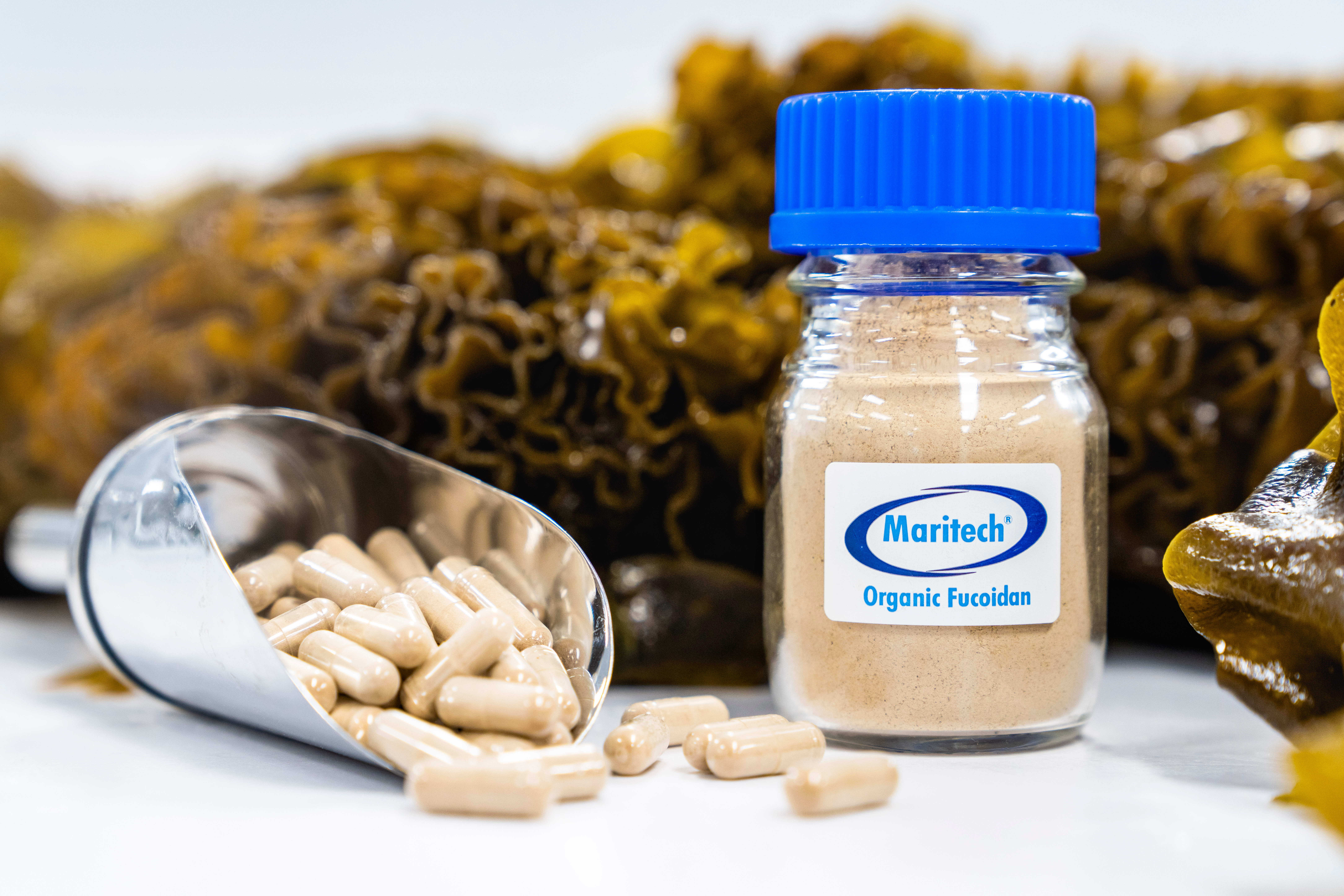 Fucoidan leader reports record production