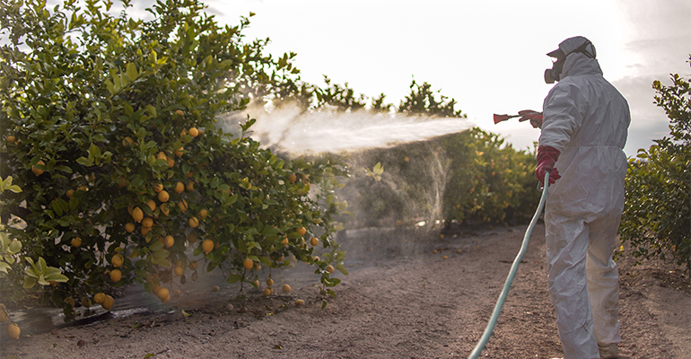Pesticides in the pantry: Major food companies roll back pesticide pledges