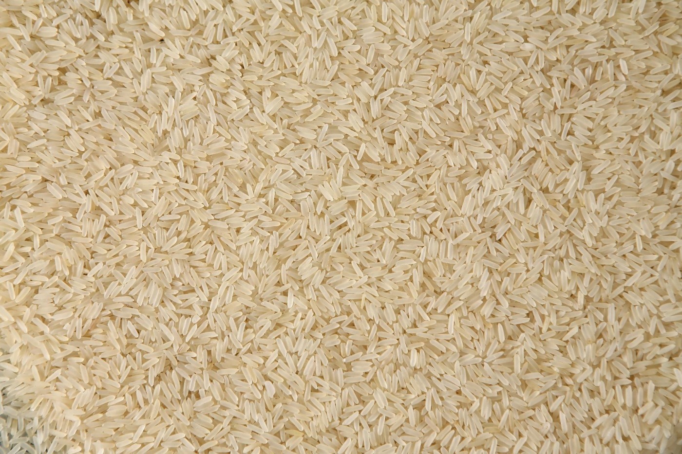 Long Grain Parboiled Rice Taj Food Pvt Ltd Ingredients Network