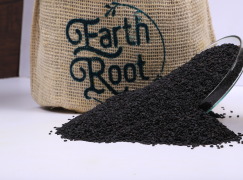 Black Cumin Seed/Nigella Sed/Kalonji Seed