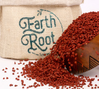 Annatto Seed