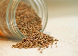 Ajwain Seed