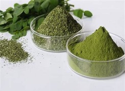 Moringa Leaves/ Pods / Powder