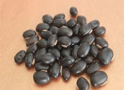 Mucuna Seed / Powder