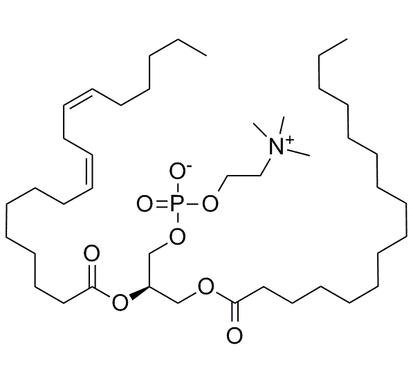 Phosphatidyl Choline（PC） | Basic Nutrition Co. Ltd | Ingredients Network