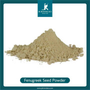 Fenugreek Seed Powder (Steam Treated)