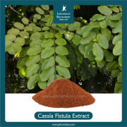 Indian Laburnum Extract