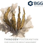 ThinOgen®  (fucoxanthin)