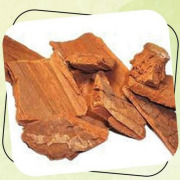 Prunus/ Pygeum Extract