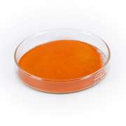 Natural / Synthetic β-Carotene Powder  1% CWS-K