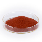 Natural / Synthetic β-Carotene Beadlet  10%  CWS-OS