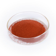 Synthetic β-Carotene Beadlet 20% TAB-S