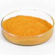 Coenzyme Q10 98%