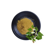 Houttuyniae Extract