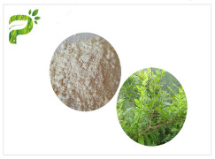 Ampelopsis grossedentata Extract (Dihydromyricetin)