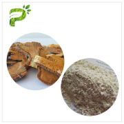 Polygonum Cuspidatum L. Extract (Resveratrol)