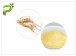 Ginseng Extract Powder