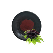 Elderberry Extract Anthocyanins 5%-30%