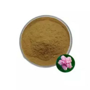 Hibiscus Sabdariffa Extract