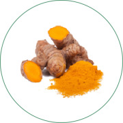 Turmeric Extract