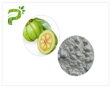 Garcinia Cambogia Extract