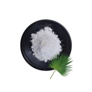 Saw Palmetto Extract