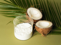 Vegan Coconut Milk Powder