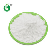 Nicotinamide Adenine Dinucleotide NAD Powder