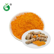 Turmeric Extract Curcumin Powder