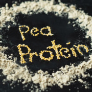 Pea Protein