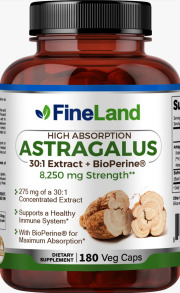 Astragalus