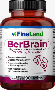 BerBrain