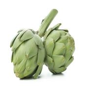 Artichoke Extract (Cynara scolymus L.)