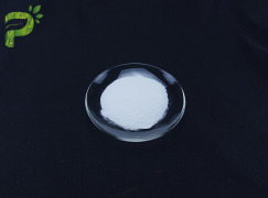 Citicoline CAS: 987-78-0