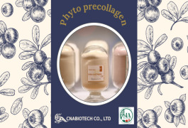 Phyto precollagen